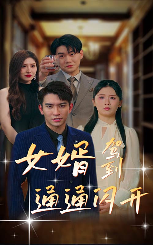 女婿駕到，通通閃開(全集)