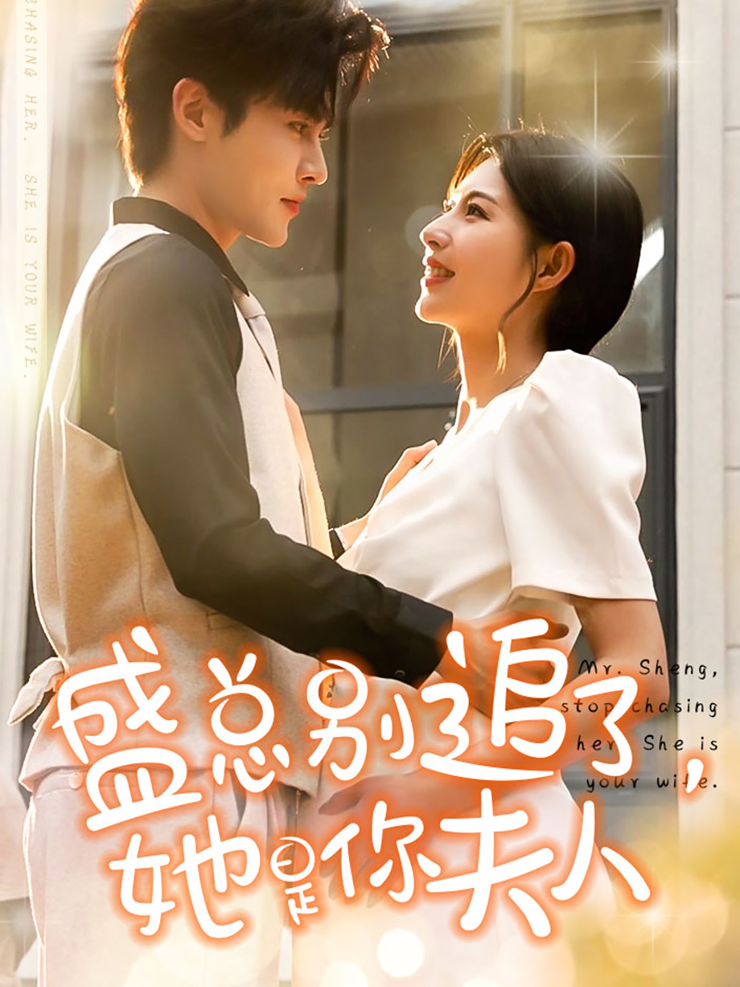 盛總別追了，她是你夫人(全集)