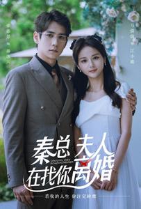 秦總，夫人在找你離婚(全集)