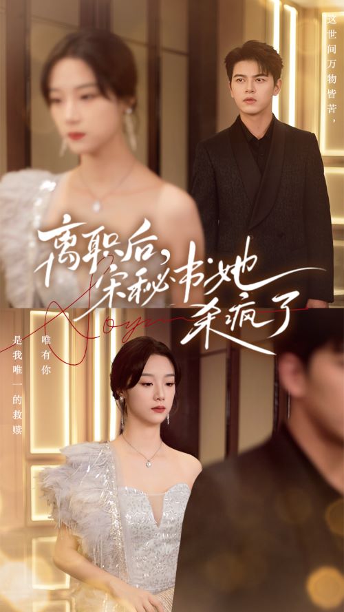 離職后，宋秘書她殺瘋了(全集)