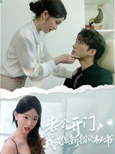 老公開門，我是你新招的秘書(全集)