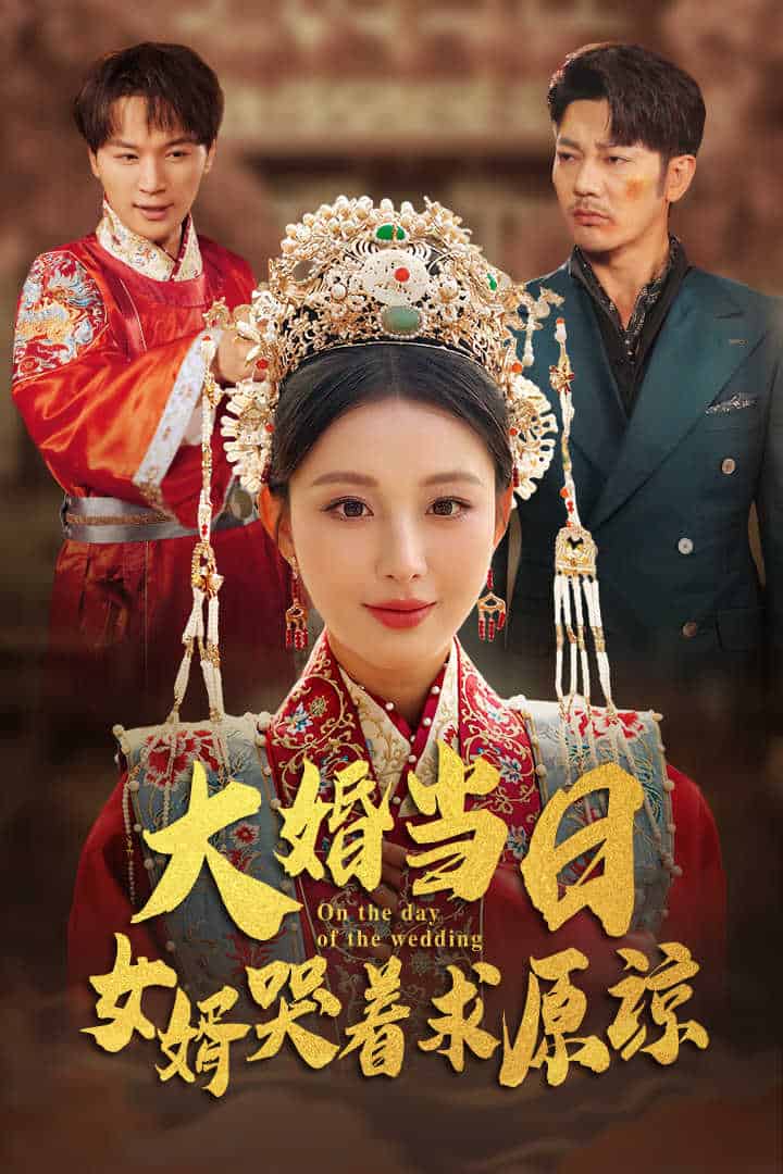 大婚當(dāng)日，女婿哭著求原諒(全集)