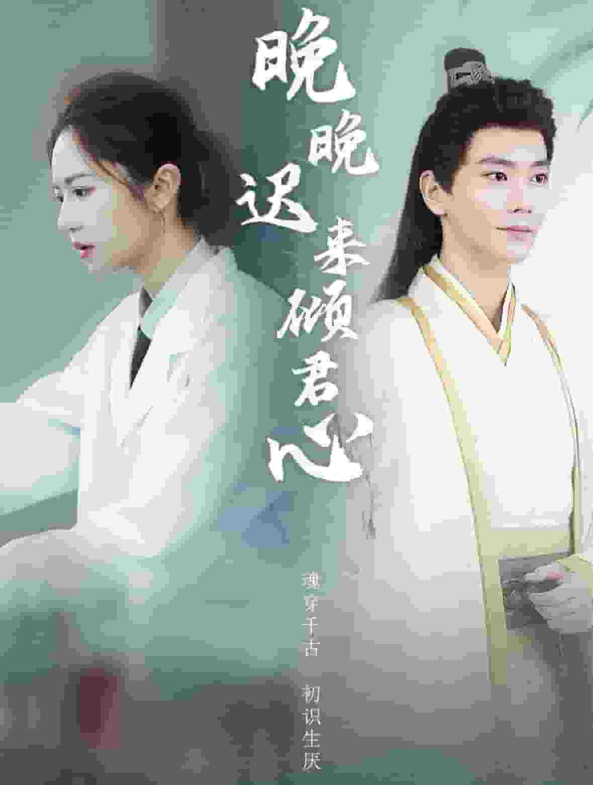 晚晚遲來(lái)傾君心(全集)