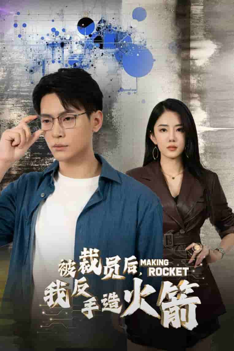 被裁員后，我反手造火箭(全集)