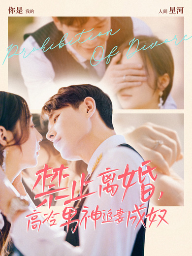 禁止離婚，高冷男神追妻成奴(全集)