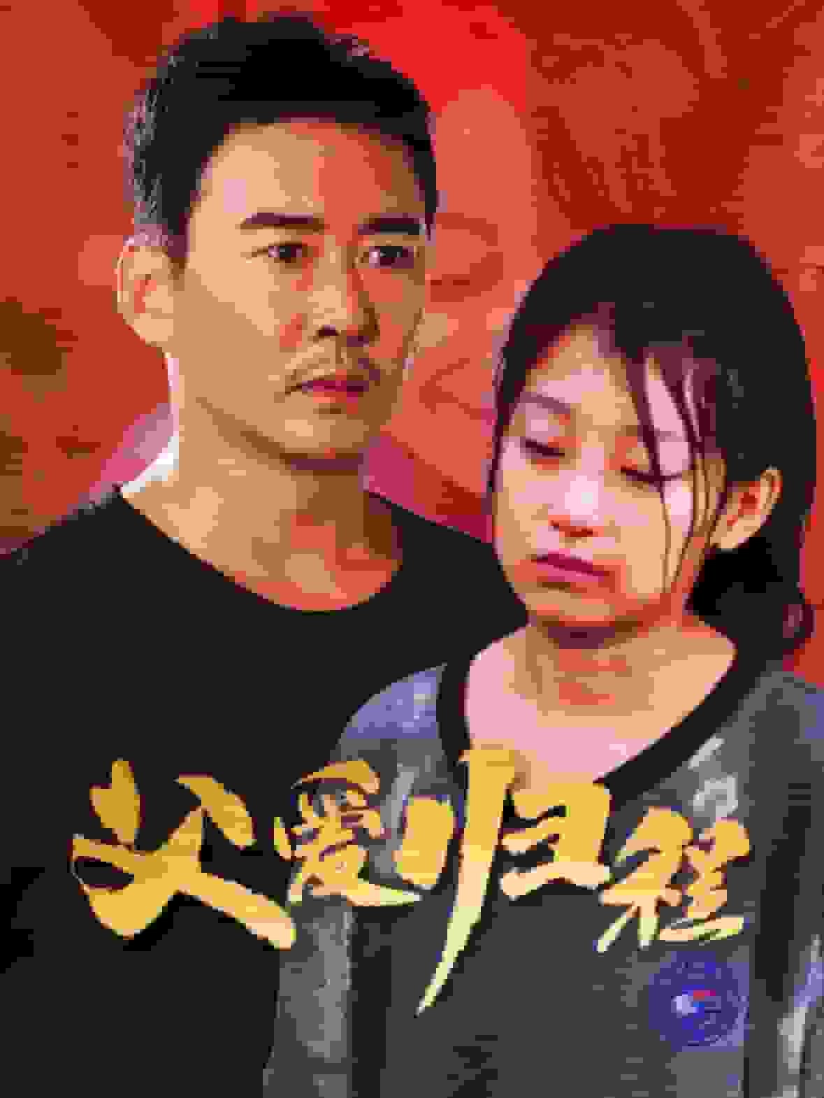 父愛(ài)歸程(全集)