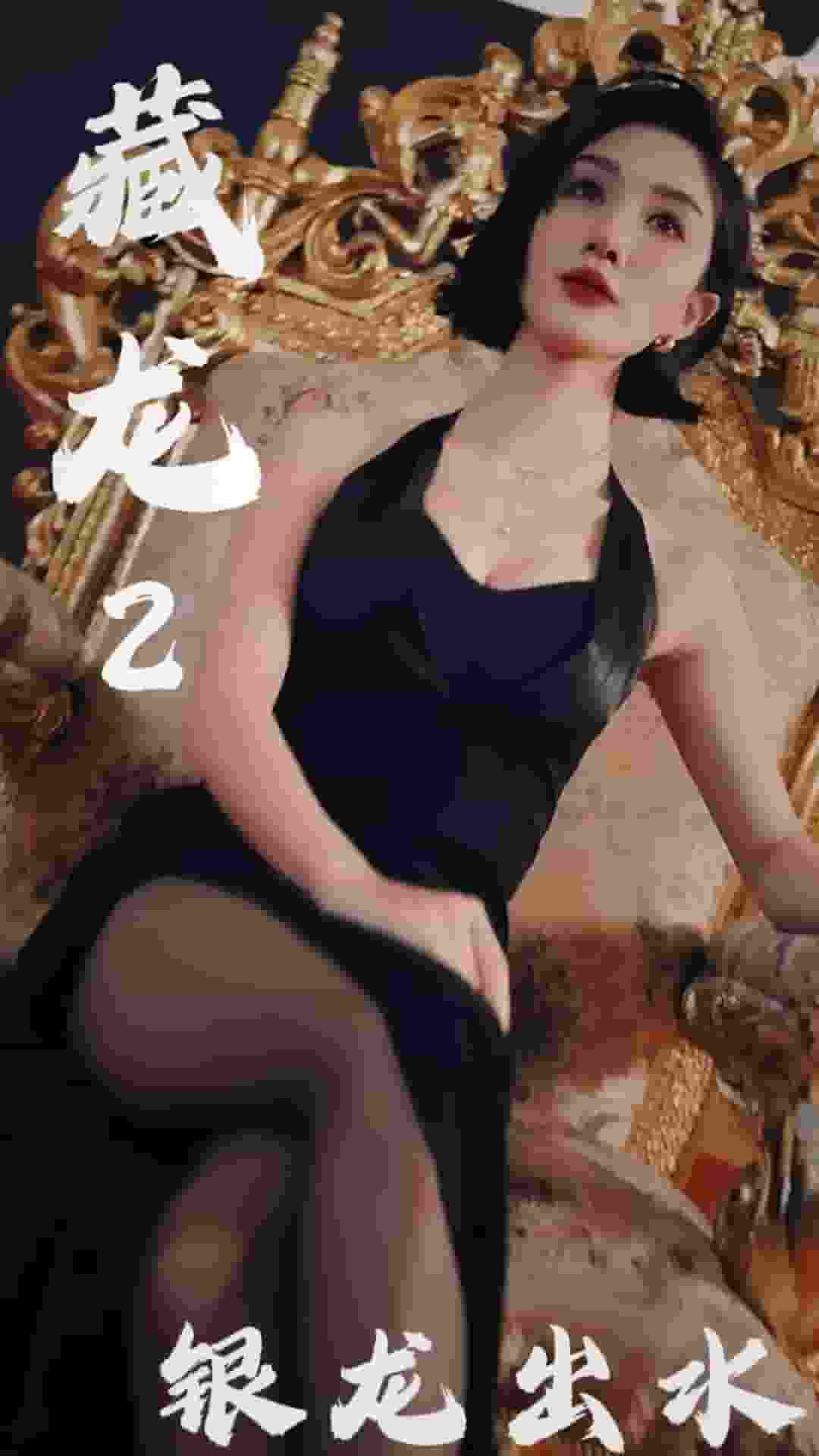 藏龍2銀龍出水(全集)