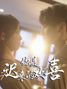 你是遲來(lái)的歡喜(全集)