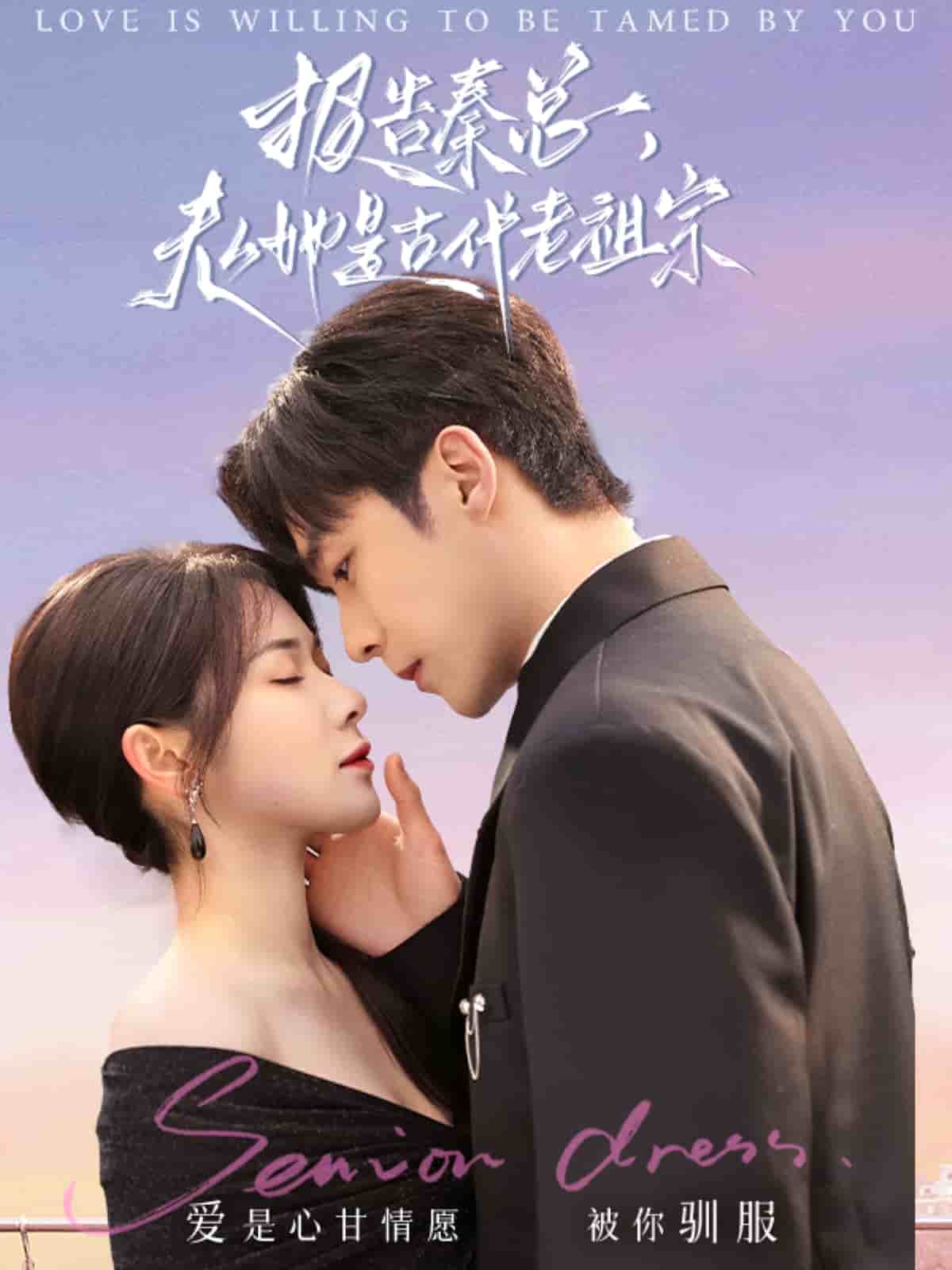 報告秦總，夫人她是古代老祖宗(全集)