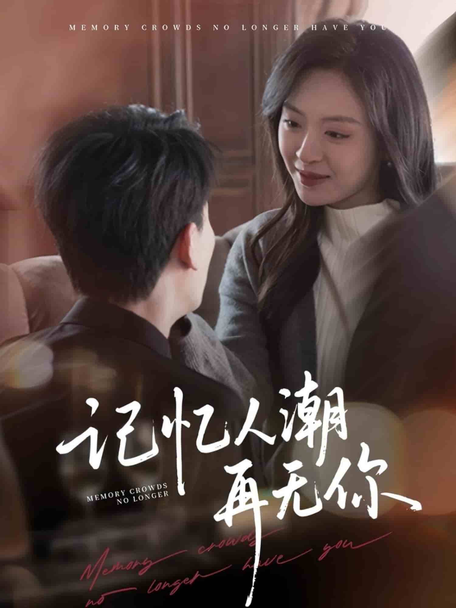 記憶人潮再無你(全集)