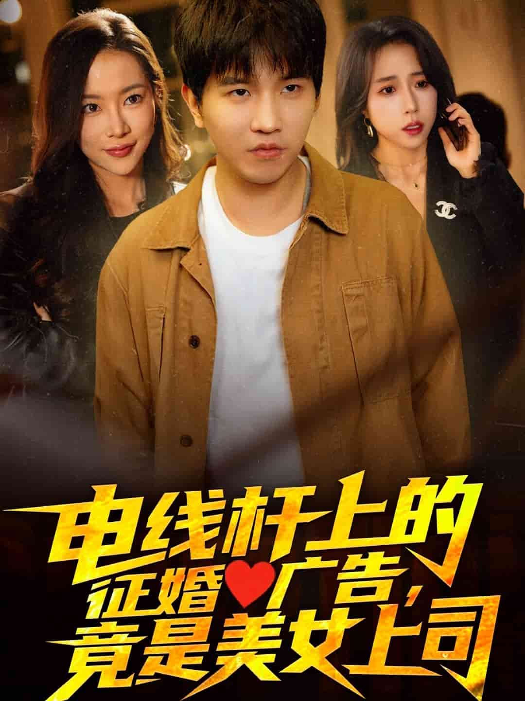 電線桿上的征婚廣告，竟是美女上司(全集)