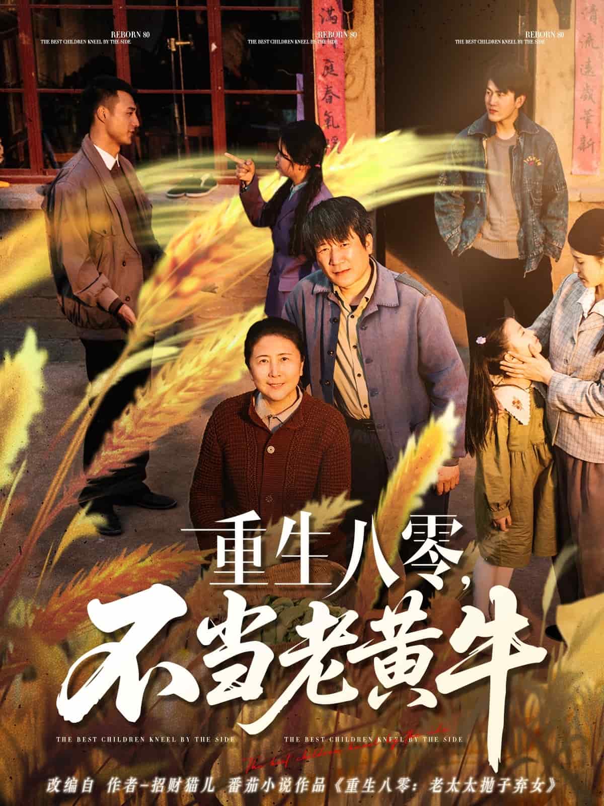 重生八零，不當(dāng)老黃牛(全集)