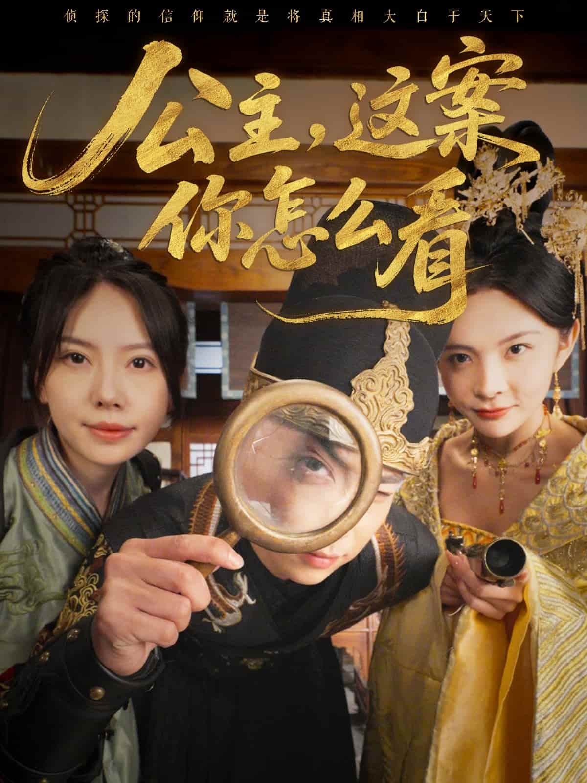 公主，這案你怎么看(全集)