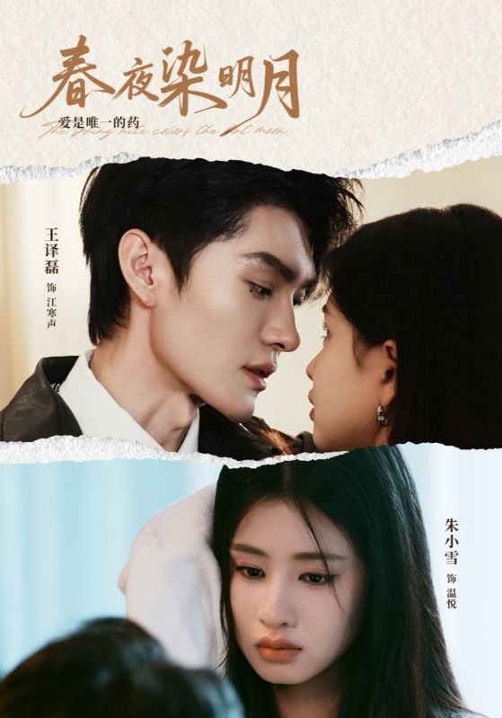 春夜染明月(全集)