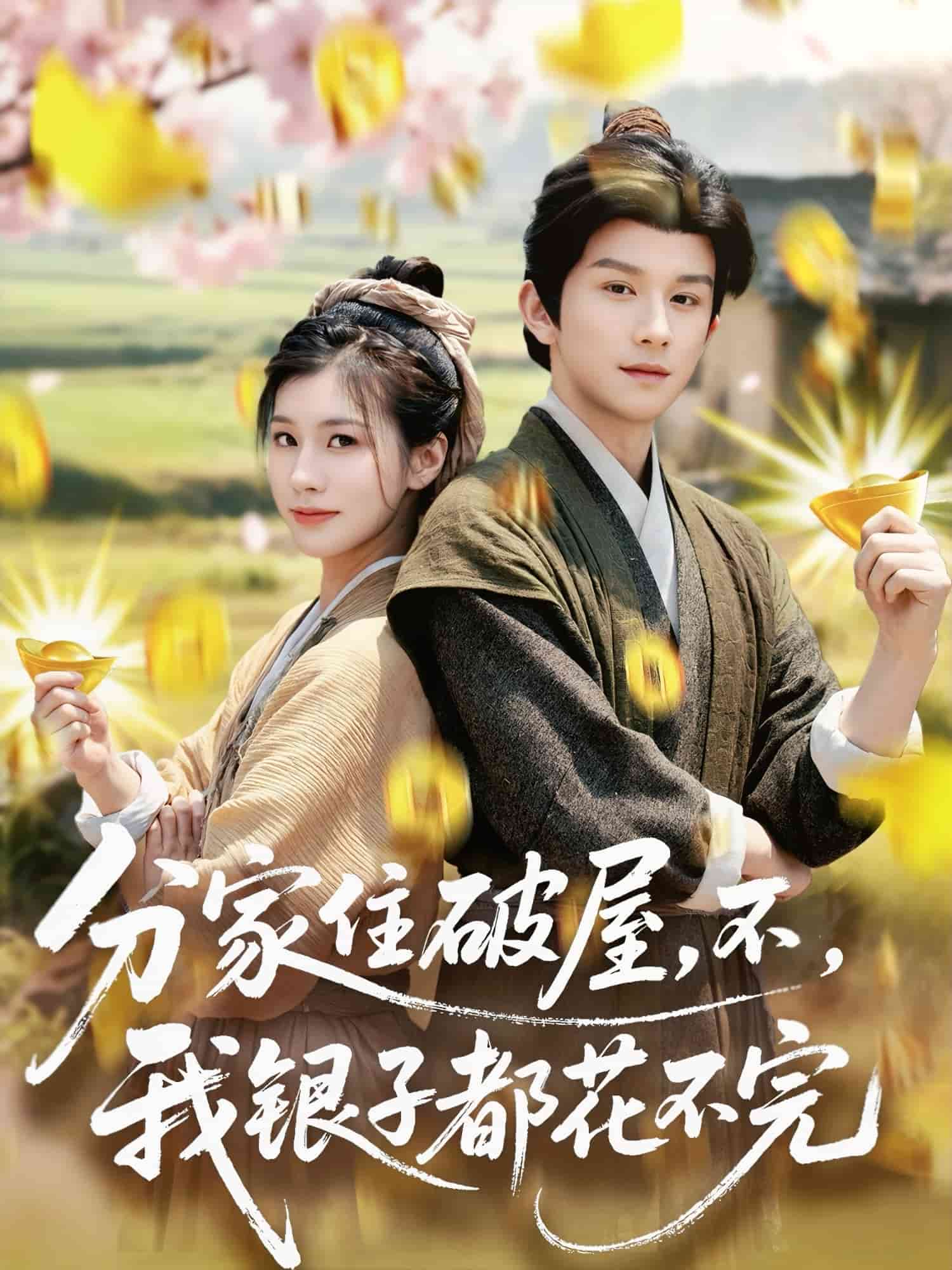 分家住破屋，不，我銀子都花不完(全集)