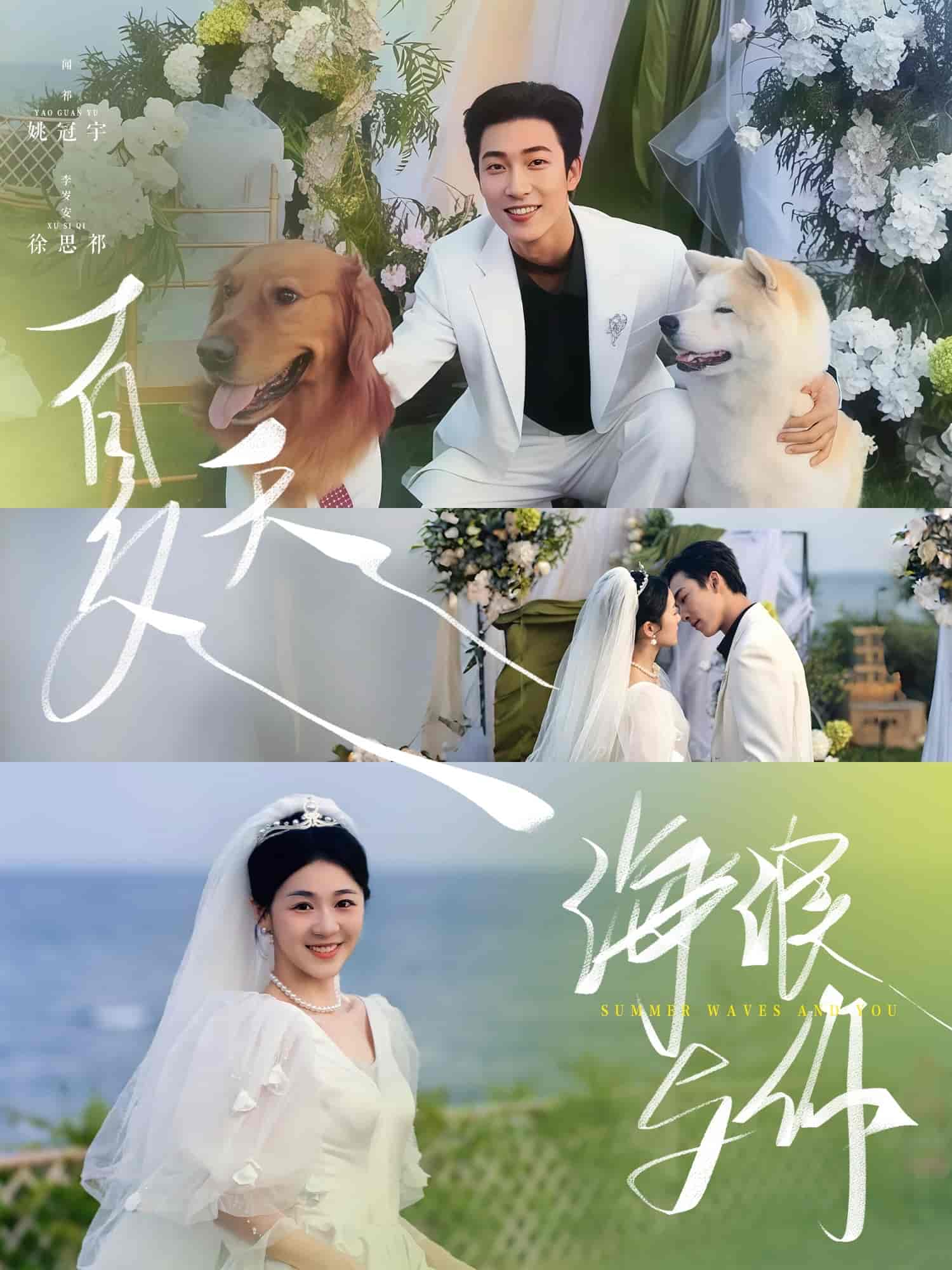 夏天，海浪與你(全集)