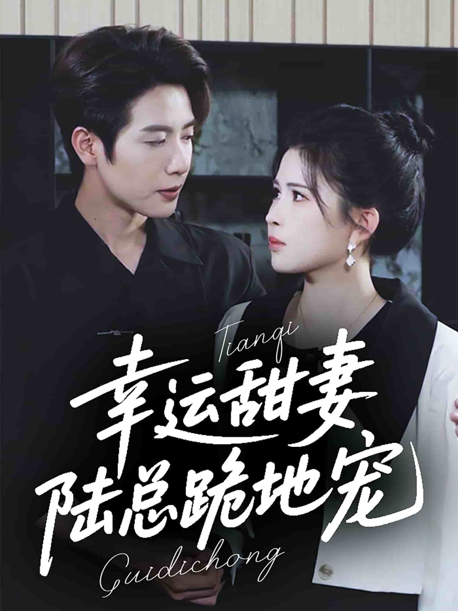 幸運甜妻，陸總跪地寵(全集)