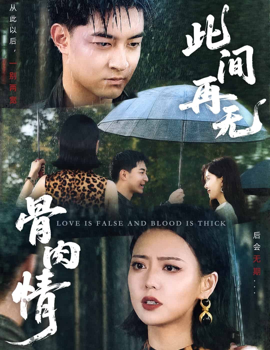 此間再無(wú)骨肉情(全集)