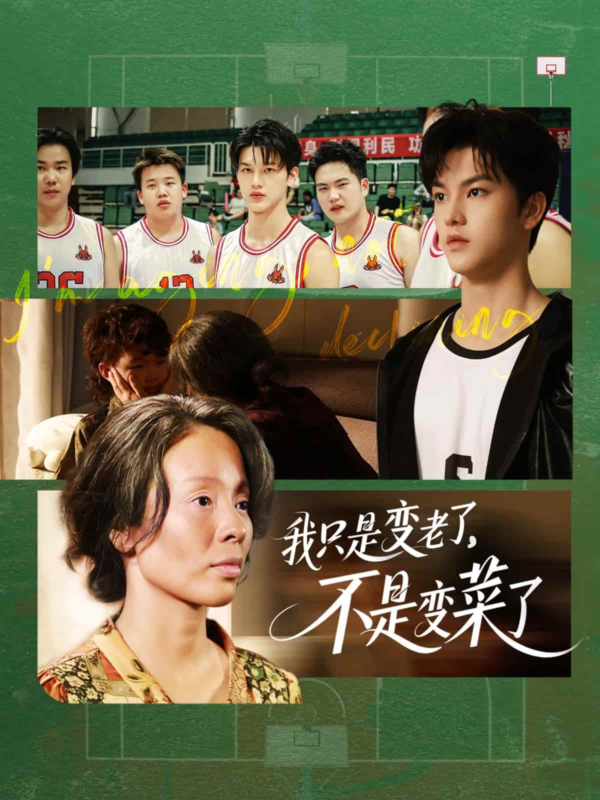 我只是變老了，不是變菜了(全集)