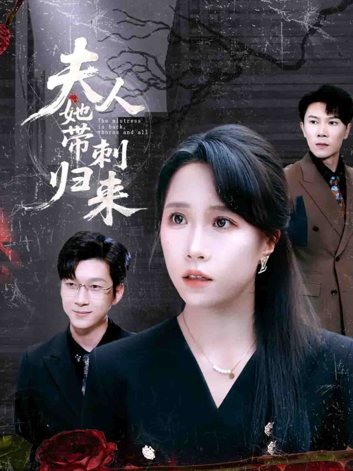 夫人她帶刺歸來(全集)