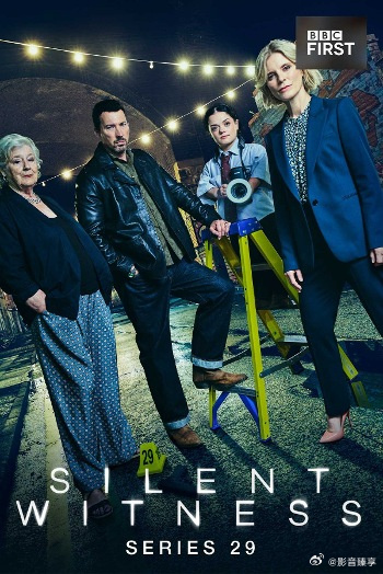 無聲的證言第二十九季(全集)