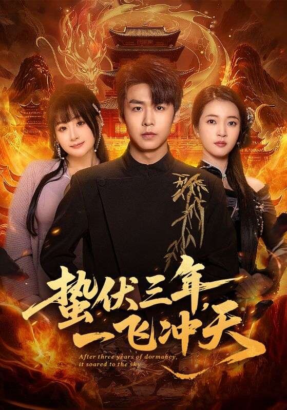 蟄伏三年，一飛沖天(全集)