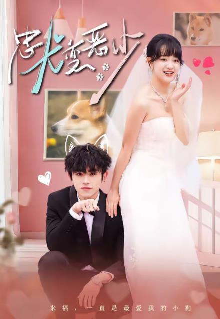 驚！我家來福變惡少了(全集)