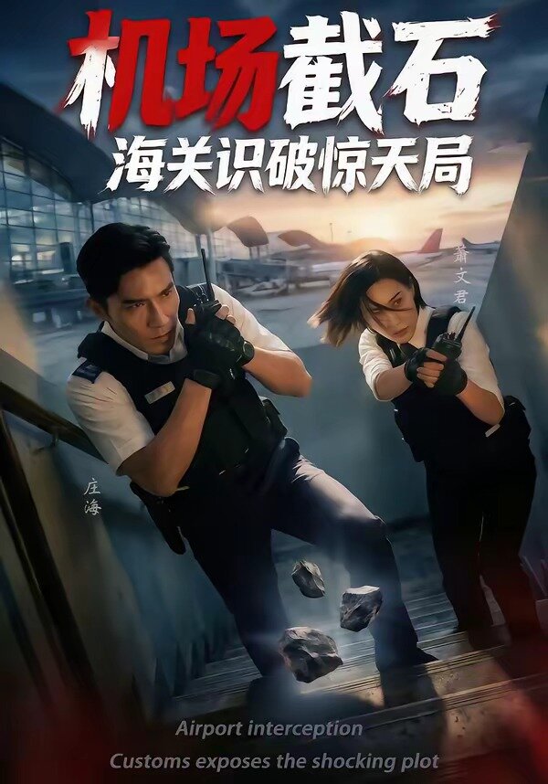 機場截石，海關識破驚天局(全集)