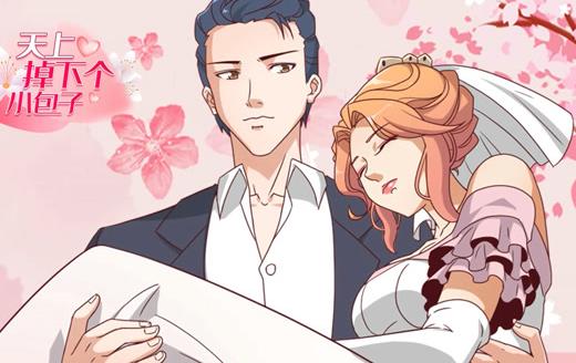 天上掉下個小包子動態(tài)漫畫(全集)