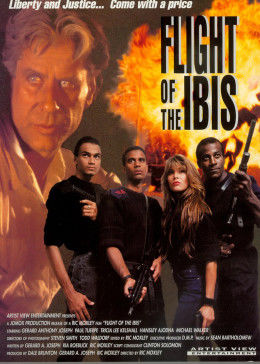 無(wú)敵雄鷹（普通話版)(全集)