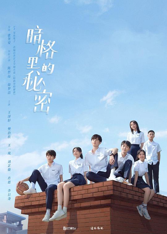 暗格里的秘密越南語版(全集)