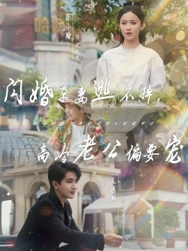 閃婚孕妻逃不掉，高冷老公偏要寵(全集)