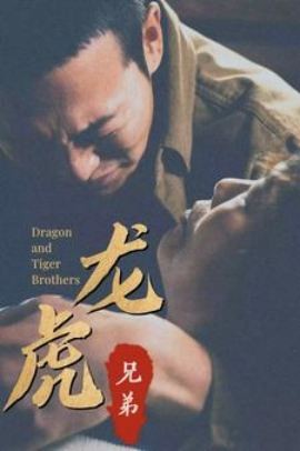 龍虎兄弟國(guó)語(全集)