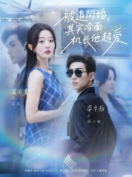 被迫閃婚其實(shí)冷面機(jī)長他超愛(全集)