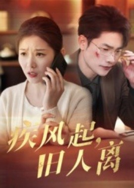 疾風起舊人離短劇(全集)