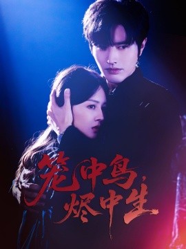 籠中鳥(niǎo)，燼中生(全集)