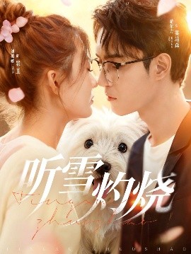 聽雪灼燒(全集)