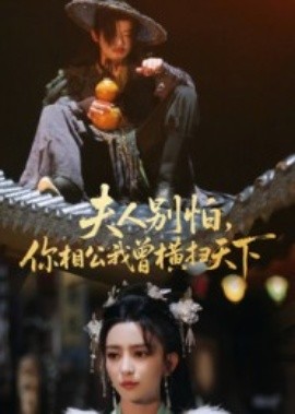 夫人別怕，你相公我曾橫掃天下(全集)