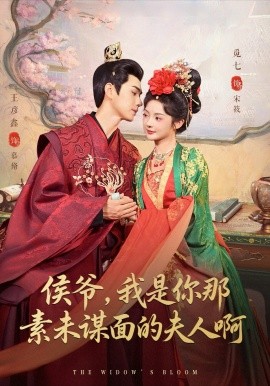 侯爺，我是你那素未謀面的夫人啊(全集)