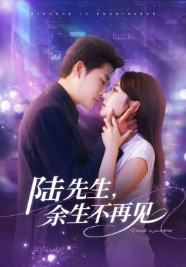 陸先生，余生不再見(全集)