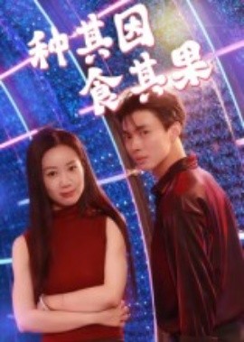 種其因，食其果(全集)