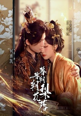 暮暮朝朝梨花落(全集)