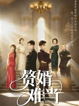 婿業(yè)難成 贅婿難當(dāng)(全集)