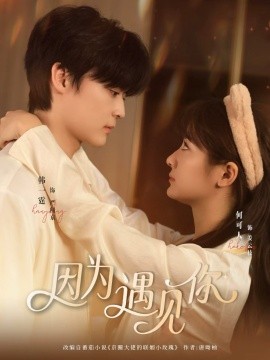 因?yàn)橛鲆娔愣虅?全集)