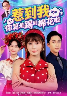 惹到我，你算是踢到棉花啦(全集)