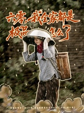 六零，我全家都是極品怎么了(全集)