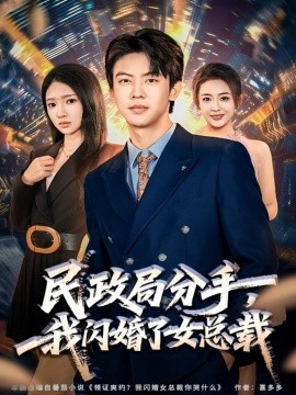 民政局分手，我閃婚了女總裁(全集)