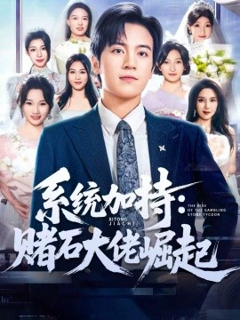 統加持：賭石大佬崛起 少年賭神：從原石到頂流(全集)