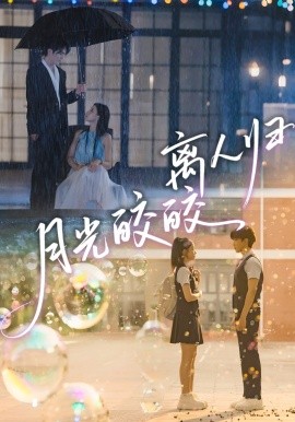 月光皎皎離人歸(全集)