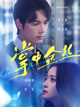 掌中金絲 長姐她竟是隱藏大佬(全集)